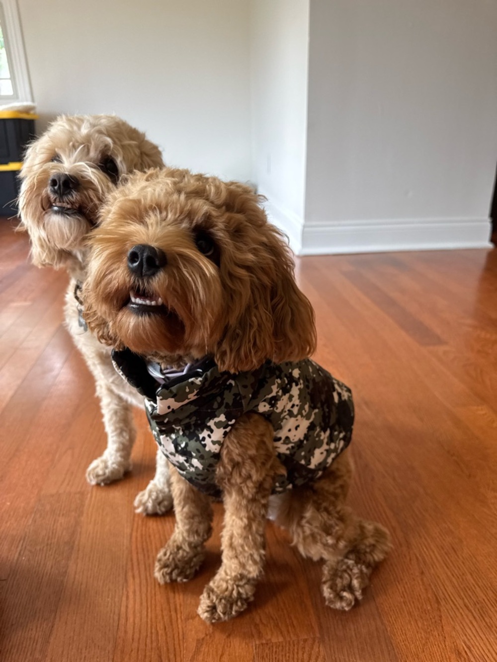 Worn once Moncler Green Camo Dog Puffer Vest Size 1